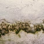 Πώς μπορώ να μειώσω την υγρασία στο σπίτι;